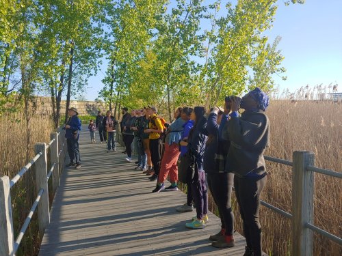 Public invited to participate in ‘Big Day of Birding’ at Liberty State Park