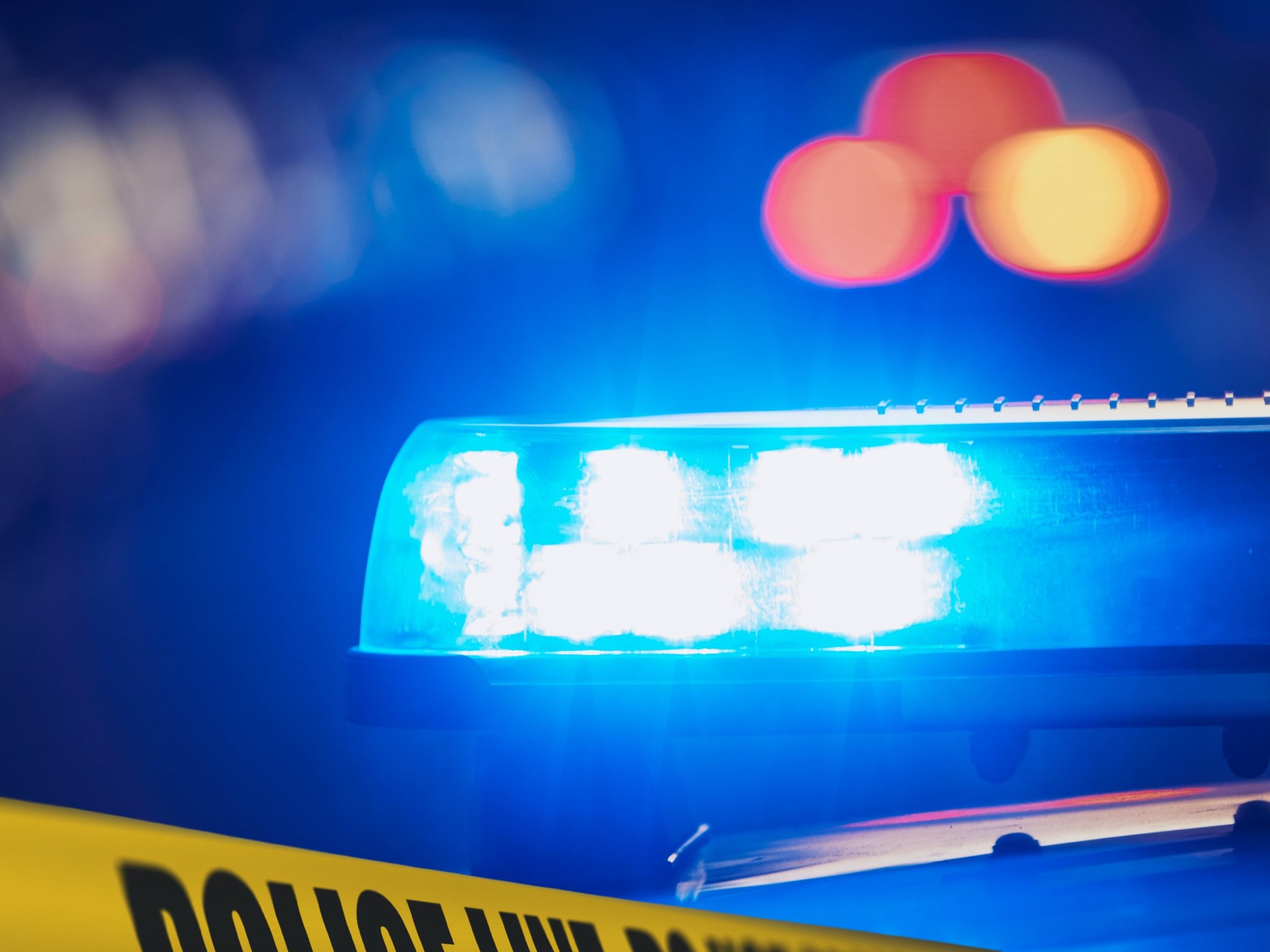 A family argument in France led to a discovery that shocked investigators