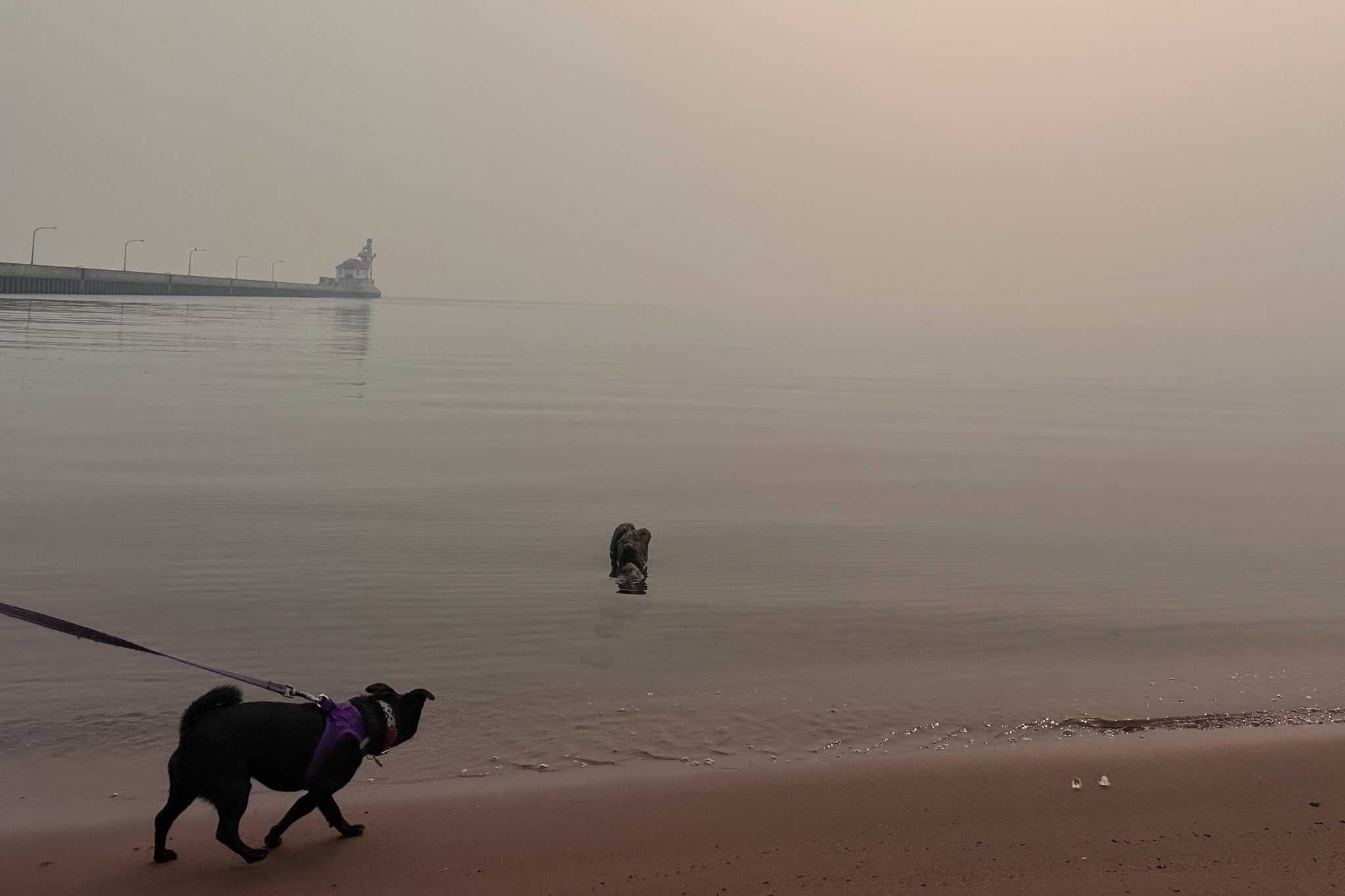 Wildfire smoke is bringing an unexpected problem to Michigan