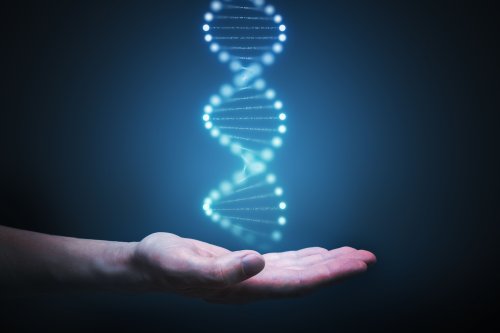 Amateur sleuths now assisting cops with DNA research | Quigley