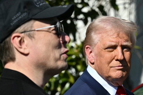 Elon Musk makes humiliating mistake in tweet praising Trump