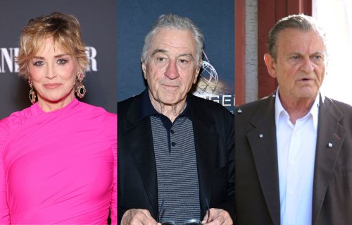 Sharon Stone says Robert De Niro and Joe Pesci were rare co-stars who weren't "misogynistic"