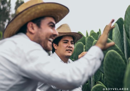 Mexikanische Unternehmer kreieren Kaktusleder und revolutionieren die Modeindustrie