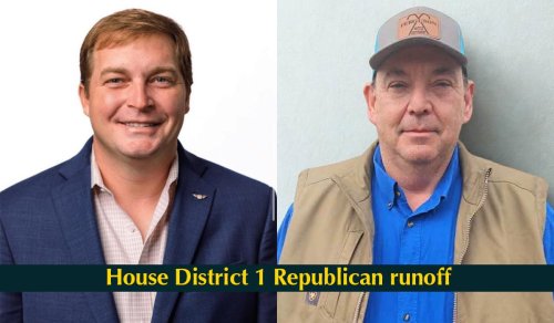 HD 1 runoff: Chris White, George Phipps vie for open seat in far SEOK