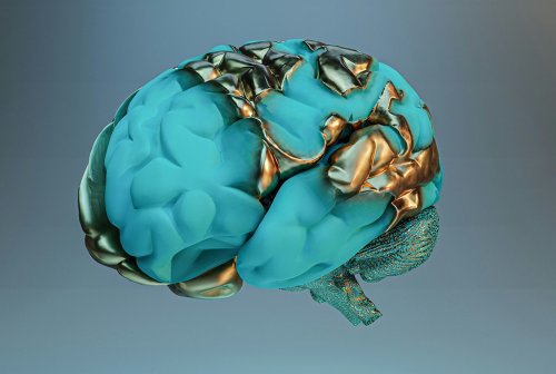 Addressing Gaps in Brain Injury Care with a Holistic Approach