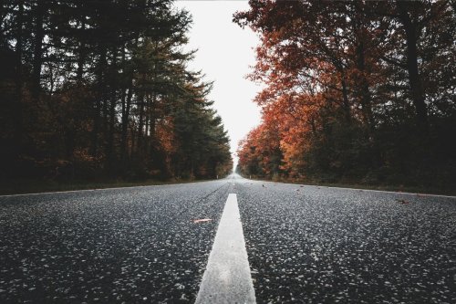 Why Legal Fear Shouldn’t Drive DEI Decisions: What Leaders Need to Know