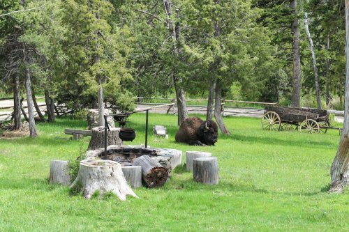 Become A Licensed Clinical Social Worker (LCSW) In Wyoming - Noodle.com