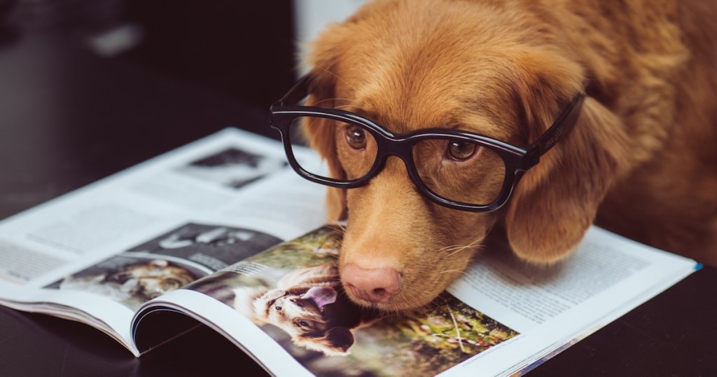 Veterinary Public Health Education - cover