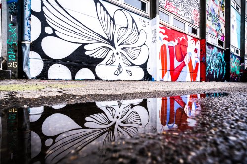 Streetart in Graz – Februar 2023 | Norbert Eder Photography