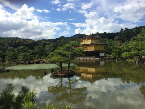 Kyoto: Highlight Deiner Japan Reise-auf der Suche nach den schönsten Tempeln | North Star Chronicles