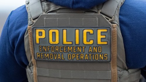 ICE Wants to Give Agents Gloves That Deliver Electric Shocks