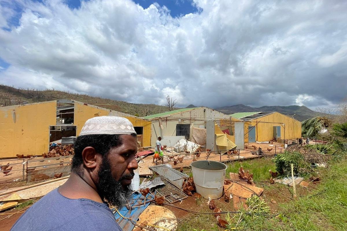 A Mayotte, l’agriculture est dévastée par le cyclone Chido : « On voit des cadavres de poules partout, des vaches divaguer parmi les tôles »