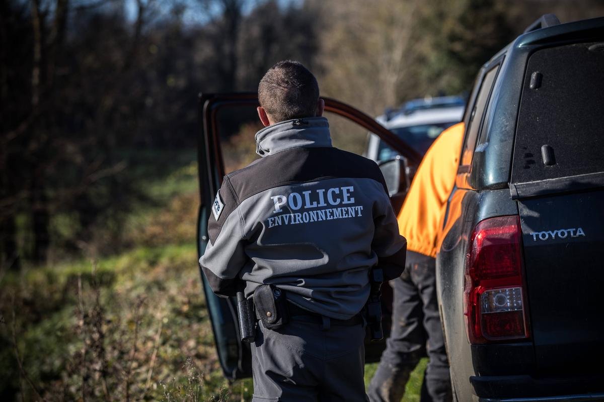 De la sensation du « surcontrôle arbitraire » aux mesures du gouvernement, les raisons de la colère entre les agriculteurs et l’OFB