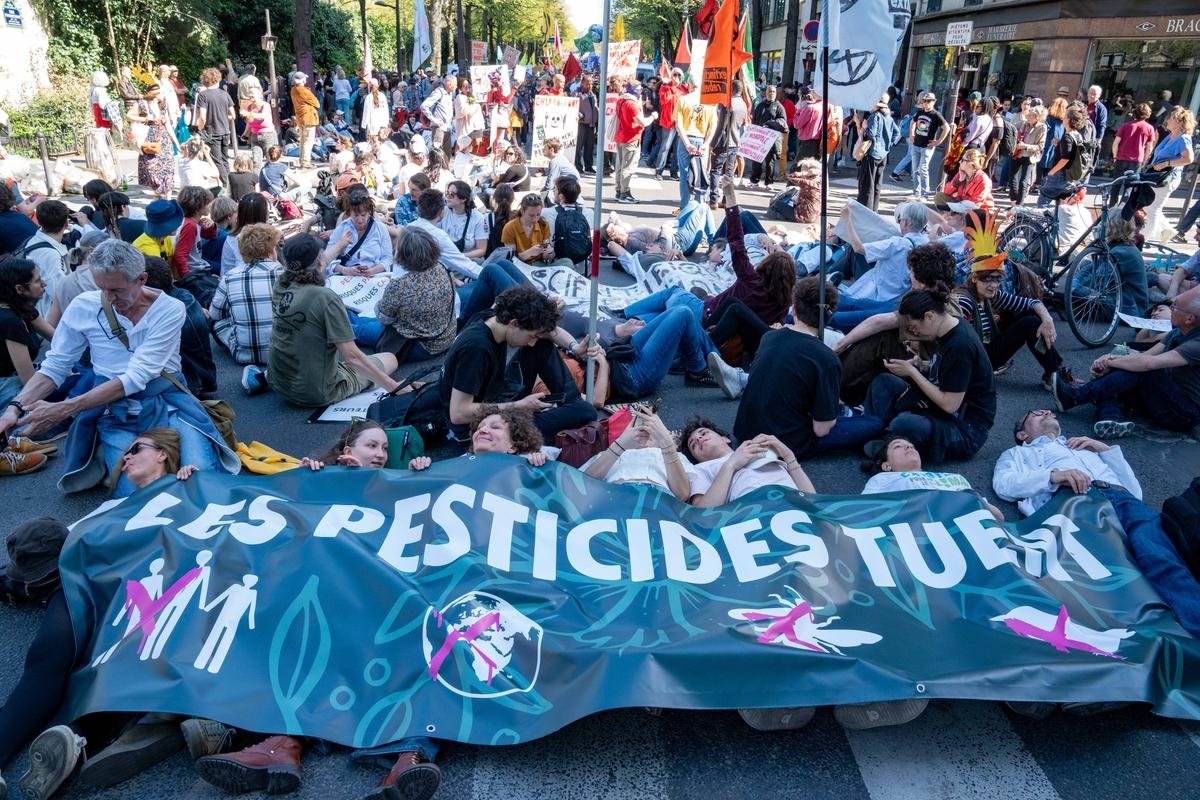Loi Duplomb, reprise de l’A69, Fin des ZFE… Une semaine noire pour l’écologie