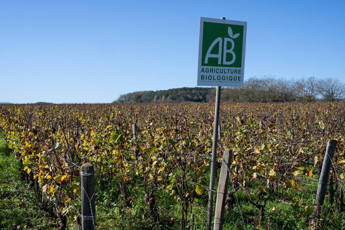 Une agriculture 100% bio en France est-elle possible ?
