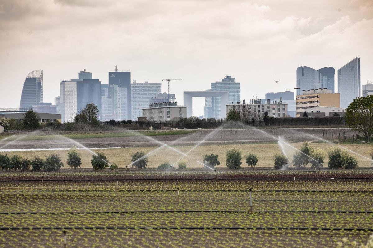 L’Ile-de-France pourrait-elle être autonome sur le plan alimentaire ?