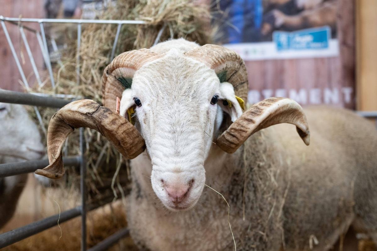 L’agroécologie escamotée par la nouvelle loi d’orientation agricole