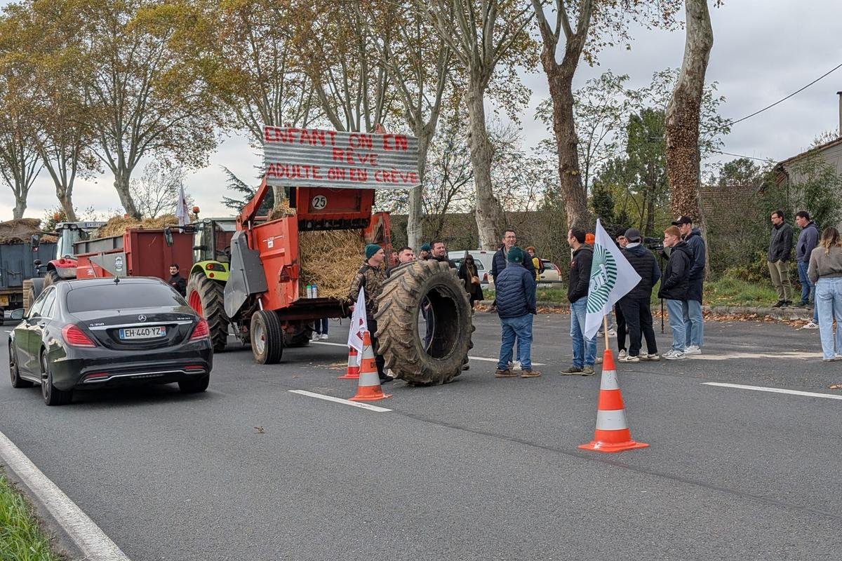 La FNSEA se maintient dans 80 % des chambres d’agriculture malgré le revers subi lors des élections