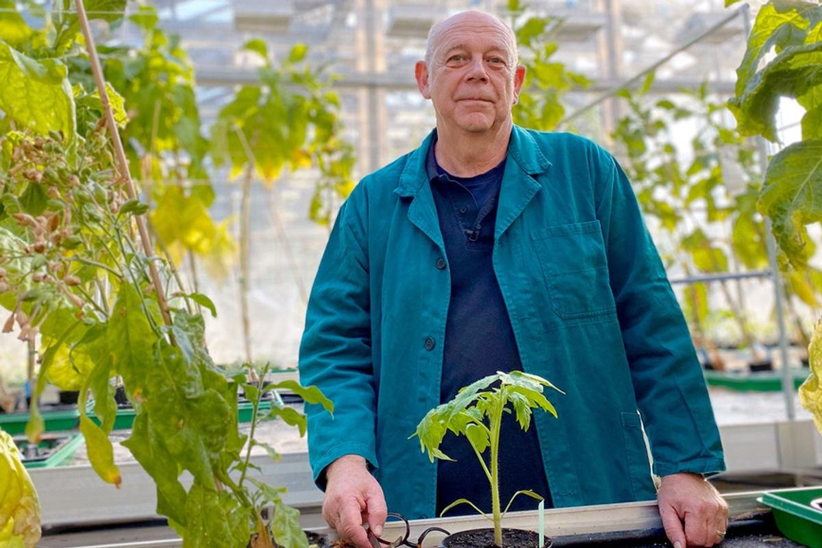 Ce soir à la télé – « L’agriculture du futur » : vers un retour des OGM ?