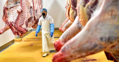 Trois ONG alertent sur l’exportation de viande française issue de l’élevage intensif vers des pays en développement