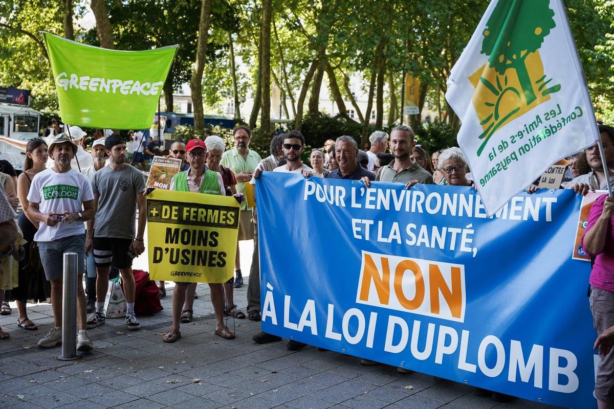 « Une régression radicale » : contre la loi Duplomb, des milliers de personnes mobilisées ce week-end en France