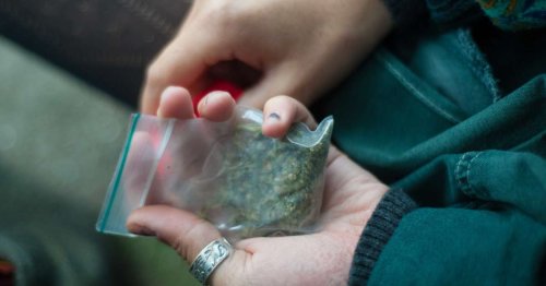 Cannabis récréatif : le Conseil économique et social préconise une légalisation encadrée
