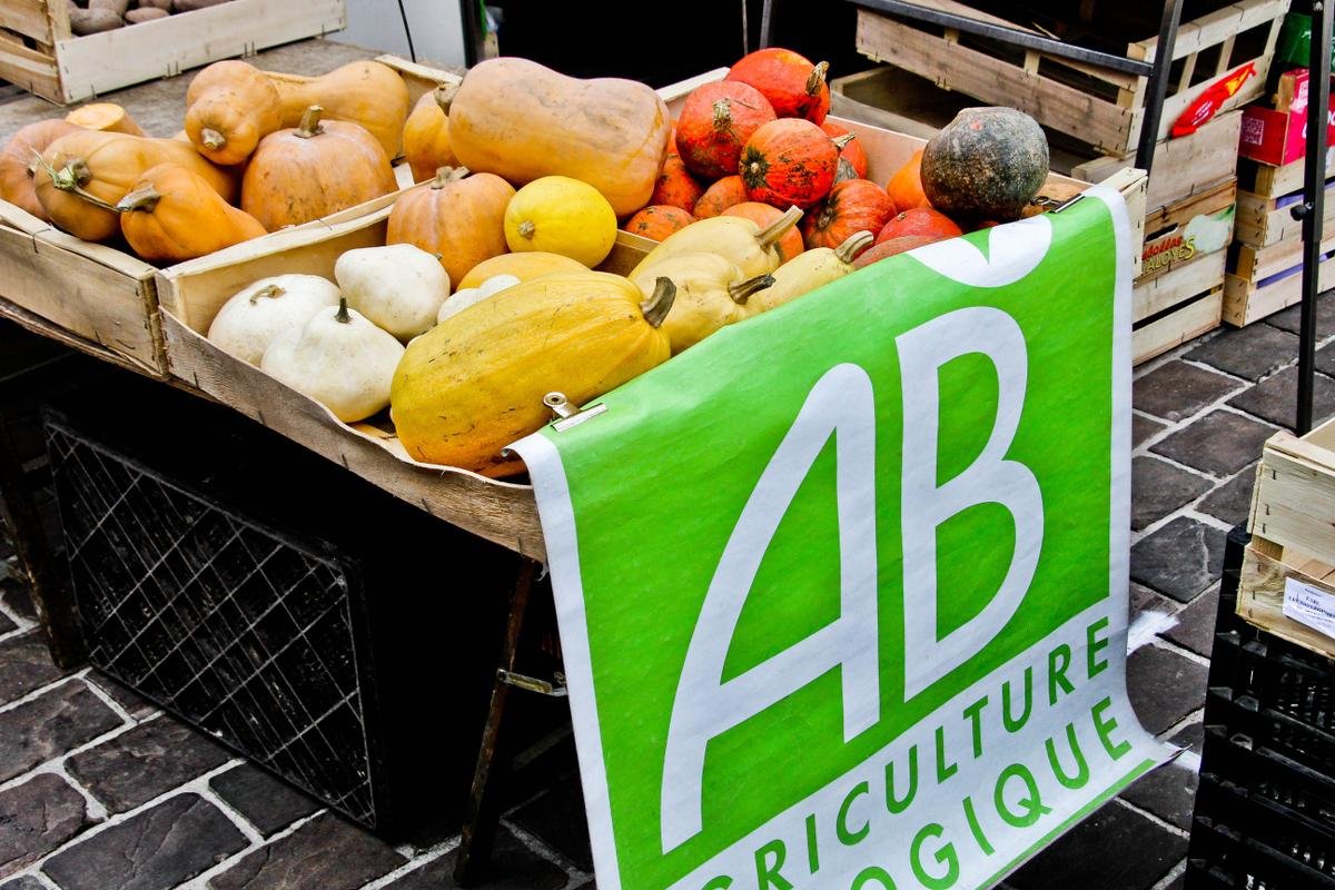 « Le bio est sorti de la feuille de route » : la FNH alerte sur le désengagement de la grande distribution