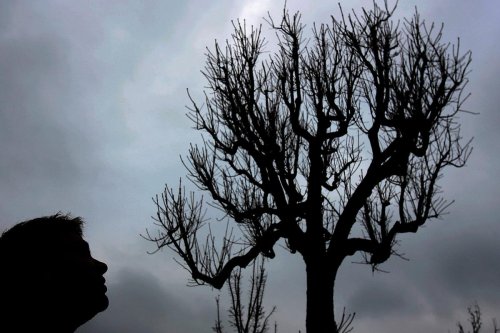 Psychédéliques en soins palliatifs : « Je suis sorti du trou mental dans lequel j’étais coincé ! »