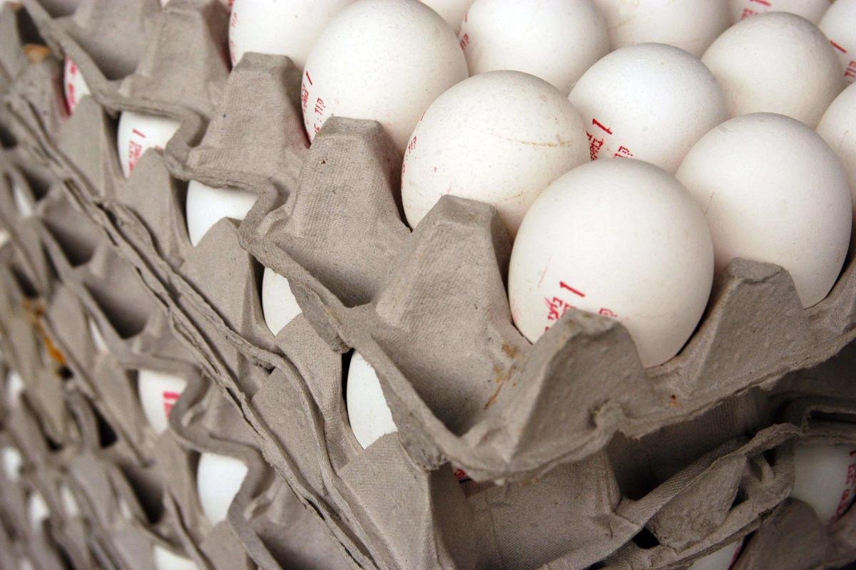 Des PFAS retrouvés dans le poisson, les œufs, le lait et la viande