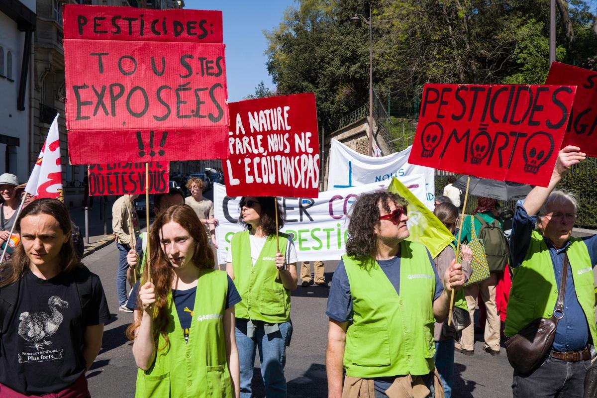La loi Duplomb ferait peser trois risques majeurs sur la biodiversité, l’eau et la santé humaine en réautorisant l’acétamipride : les voici