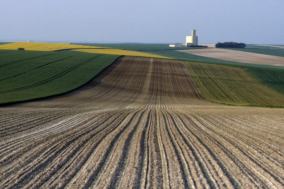 Réglementation unique sur les haies, « intérêt général majeur »… Que contient le projet de loi d’orientation agricole ?