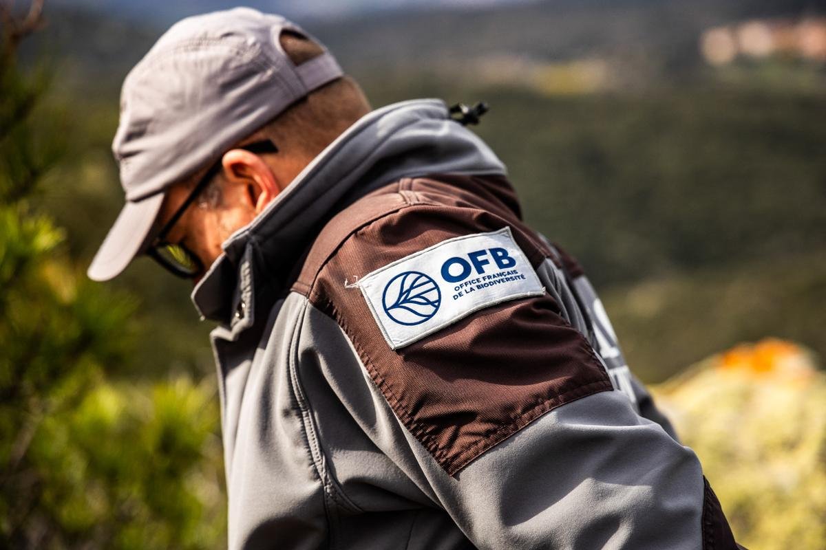« Des politiques nous ont mis une cible dans le dos » : le quotidien sous tension des agents de l’Office français de la Biodiversité