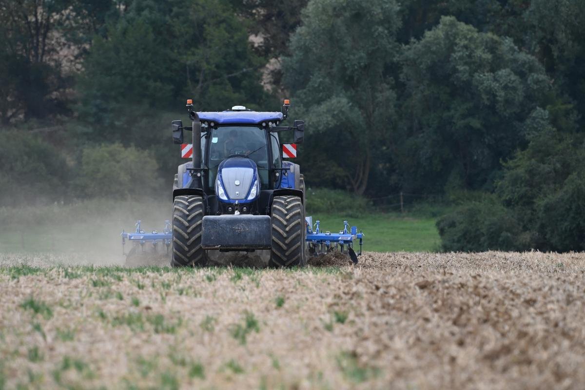 Soutien aux éleveurs, hausse du crédit d’impôt pour l’agriculture bio… Les députés adoptent une série d’amendements attendus par les agriculteurs