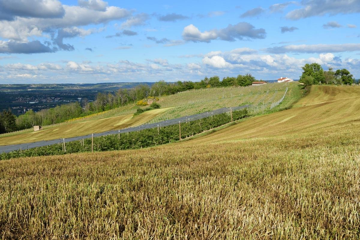 Les vrais dangers des pesticides : notre dossier