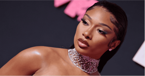 Megan Thee Stallion Wins Defamation Case Against Blogger