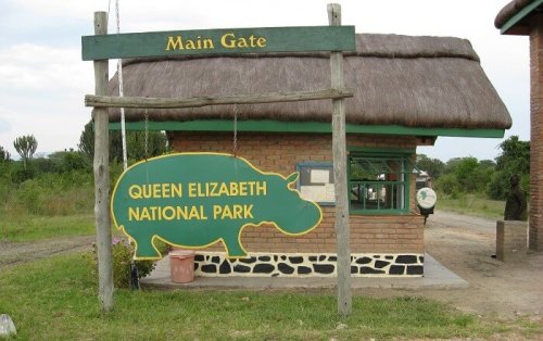 Wildlife and Birding in Queen Elizabeth National Park in Uganda