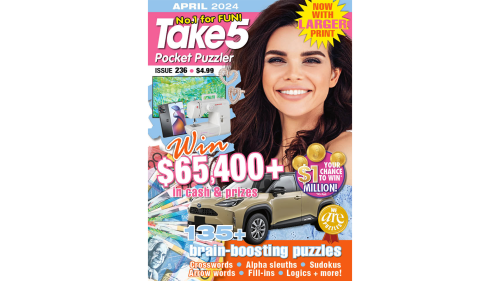 Take 5 Pocket Puzzler Issue 236 | Now To Love