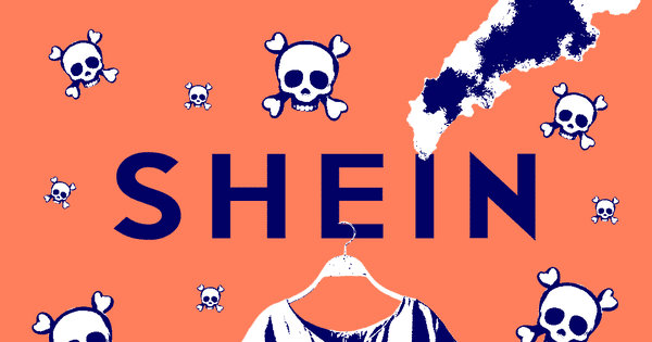 C’est quoi le problème avec Shein ?
