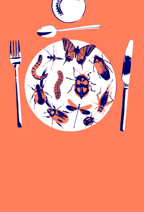 J'ai testé... manger des insectes (miam, du grillon !)