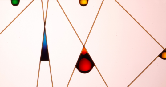 N+1, Новости науки и технологии cover image
