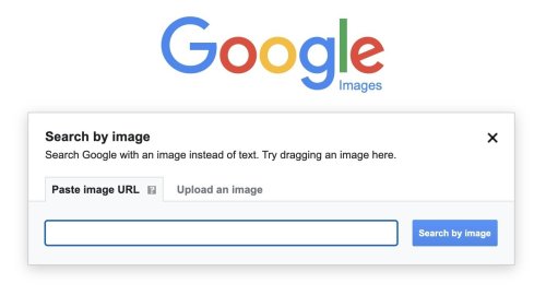 You can now ask Google to scrub images of minors from its search results
