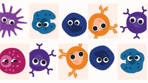 A geeky quiz says what kind of immune cell you are. Bonus: See our immune cell primer