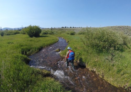 Why scientists have pumped a potent greenhouse gas into streams on public lands