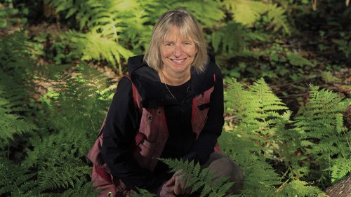 Trees Talk To Each Other. 'Mother Tree' Ecologist Hears Lessons For People, Too