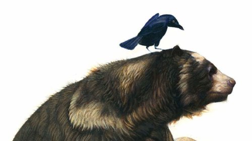 'The Council Of Animals' Holds Humanity's Fate In Its ... Paws