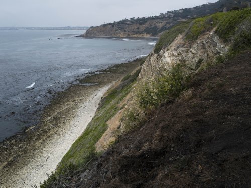 4 people fell off a cliff in Southern California