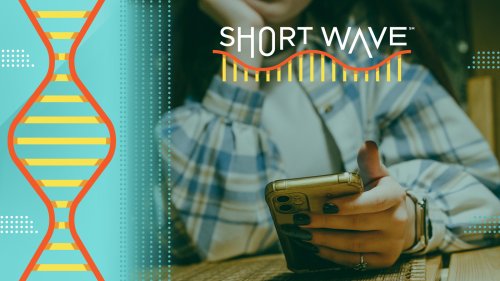 Do you have ADHD? That TikTok might not help you decide : Short Wave