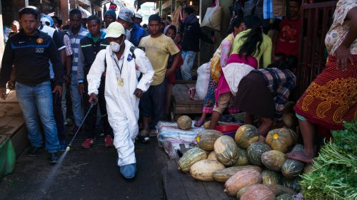 How Madagascar Took Control Of Its Plague Outbreak