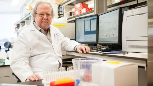 A Scientist's Dream Fulfilled: Harnessing The Immune System To Fight Cancer