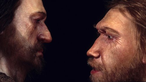 To Keep Your Brain Young, Take Some Tips From Our Earliest Ancestors